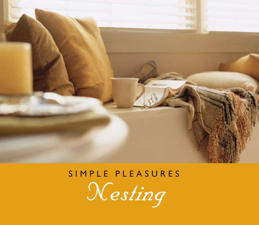 NSA | Simple Pleasures Of Nesting