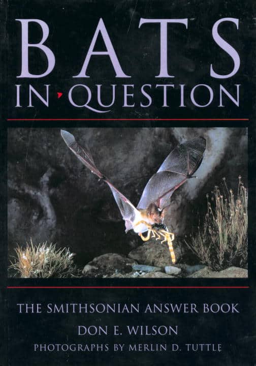 Don E. Wilson | Bats In Question