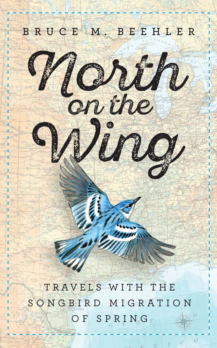 Bruce M. Beehler | North On The Wing