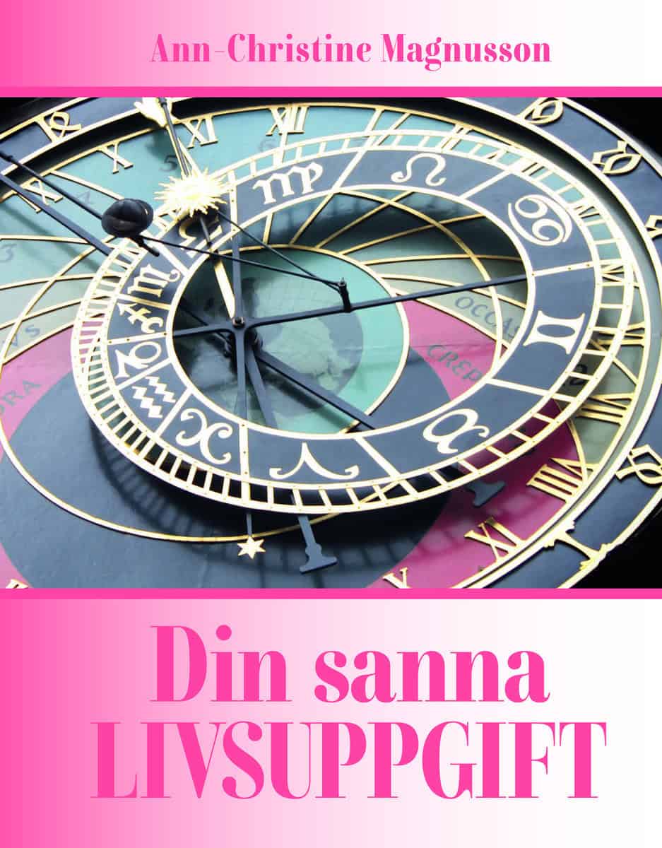 Magnusson, Ann-Christine | Din sanna livsuppgift