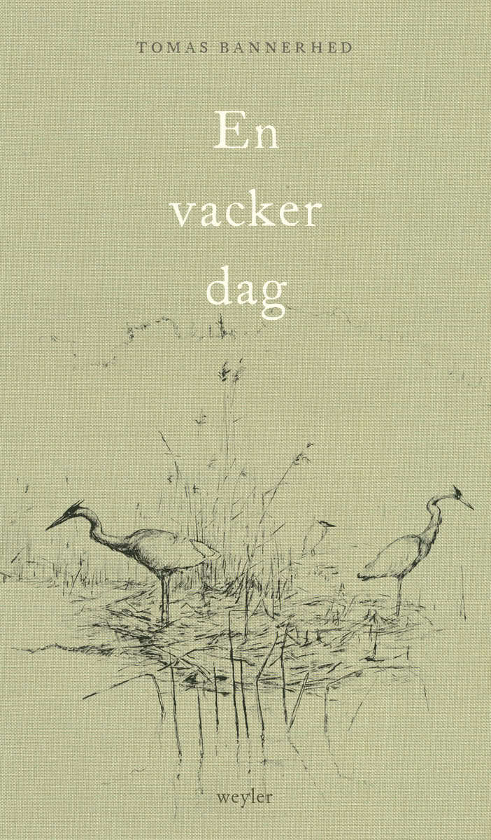 Bannerhed, Tomas | En vacker dag