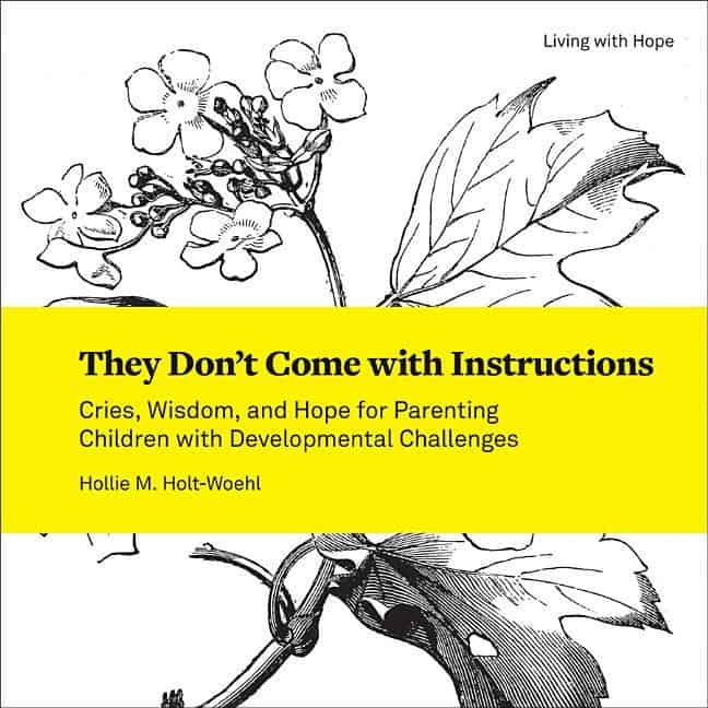 Holt-woehl, Hollie M | They dont come with instructions : Cries, wisdom, and hope for parenting ch