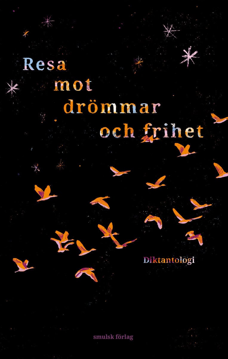 Zardadi, Ahmad | Rezai, Ali | Ahmadi, Zahra | Naseri, Ali | Alibakhsh, Tiamor | Dowlatzai, Faiaz | Hossaini, Matin | Res...