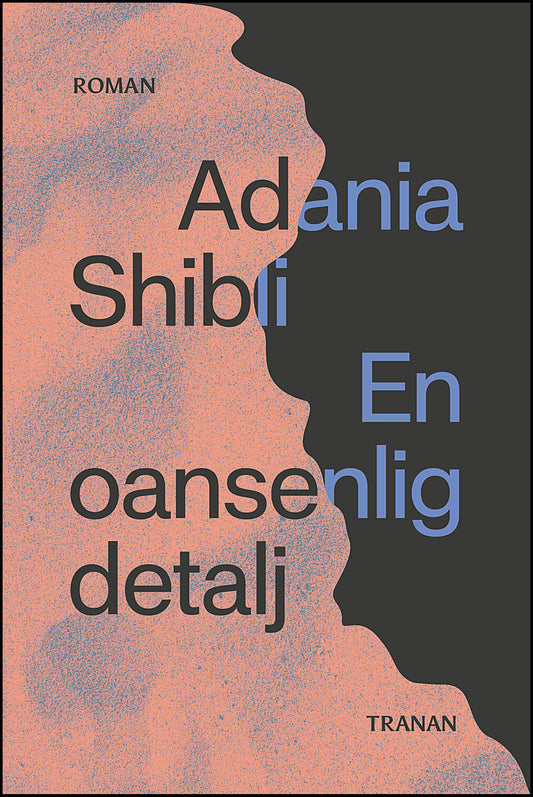 Shibli, Adania | En oansenlig detalj