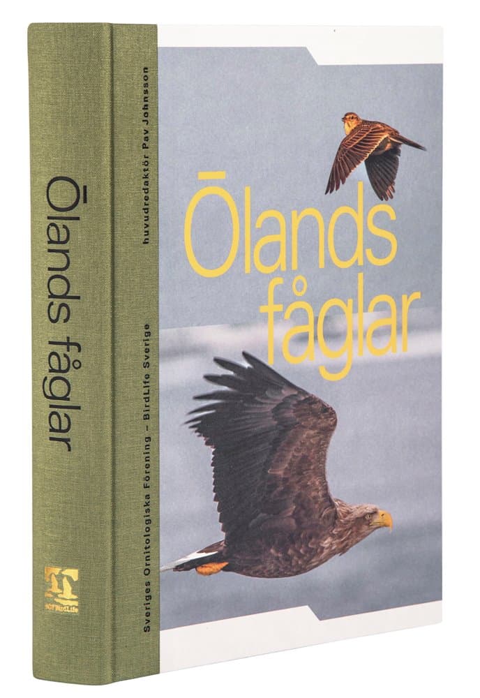 Johnsson, Pav | Ölands fåglar
