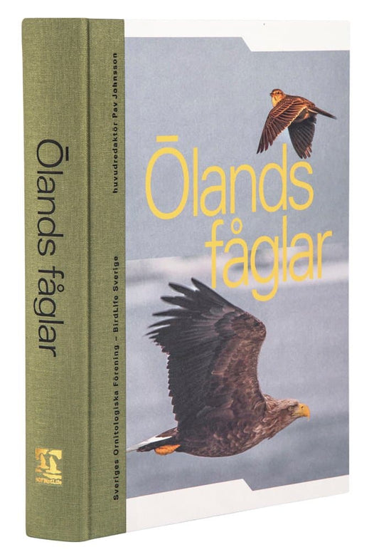 Johnsson, Pav | Ölands fåglar