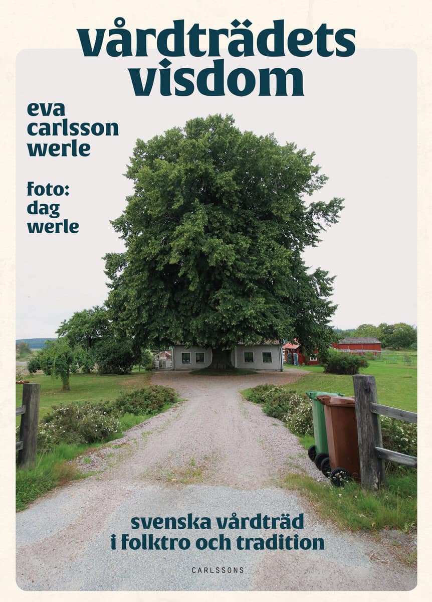 Carlsson Werle, Eva | Vårdträdets visdom : Svenska vårdträd i folktro och tradition