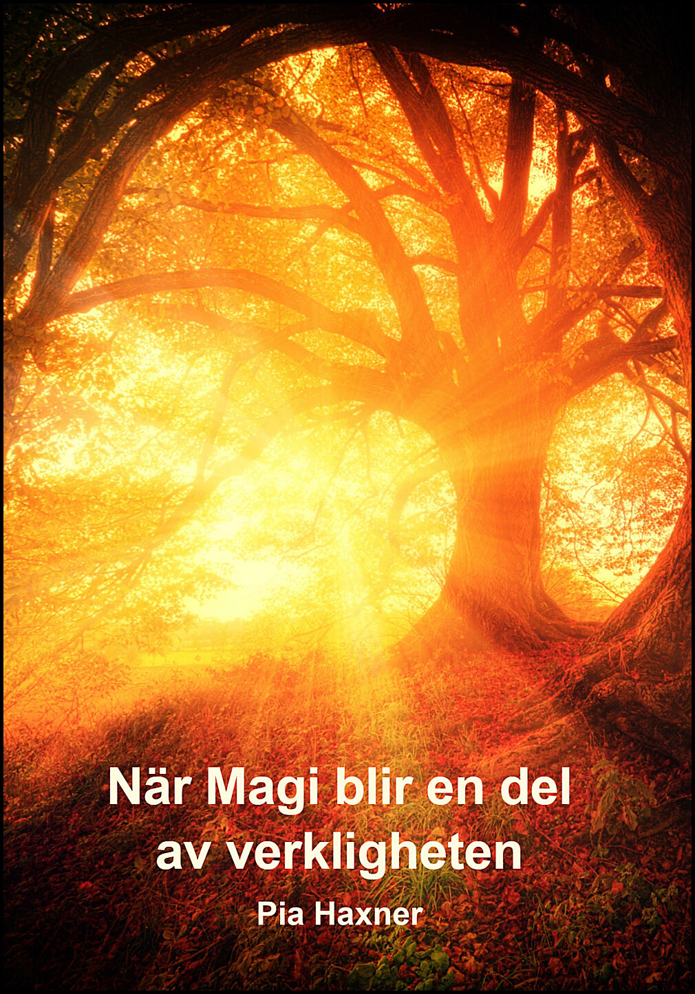 Haxner, Pia | När Magi blir en del av verkligheten