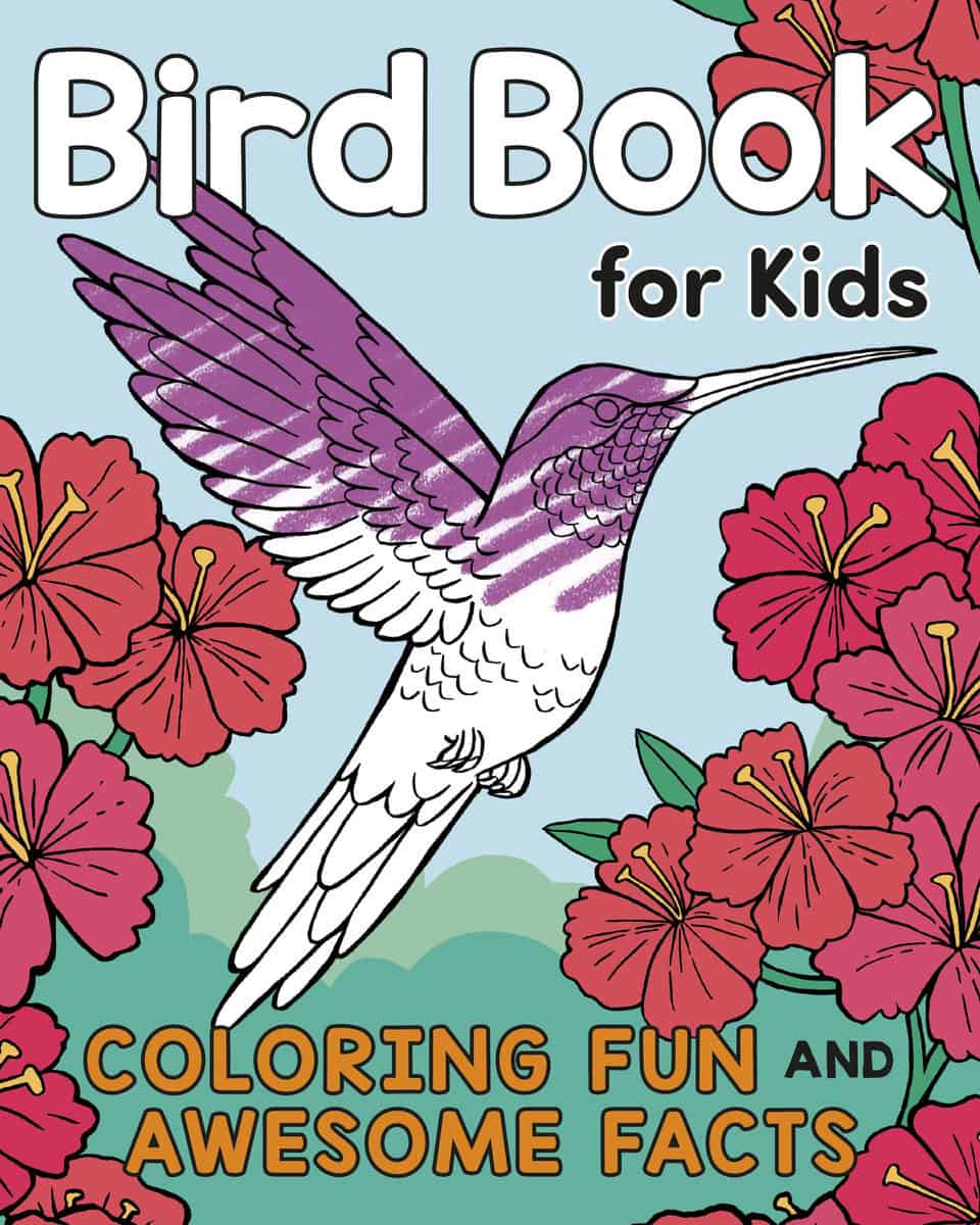 Katie Henries-MeisnerIllustrated by An | Bird Book For Kids