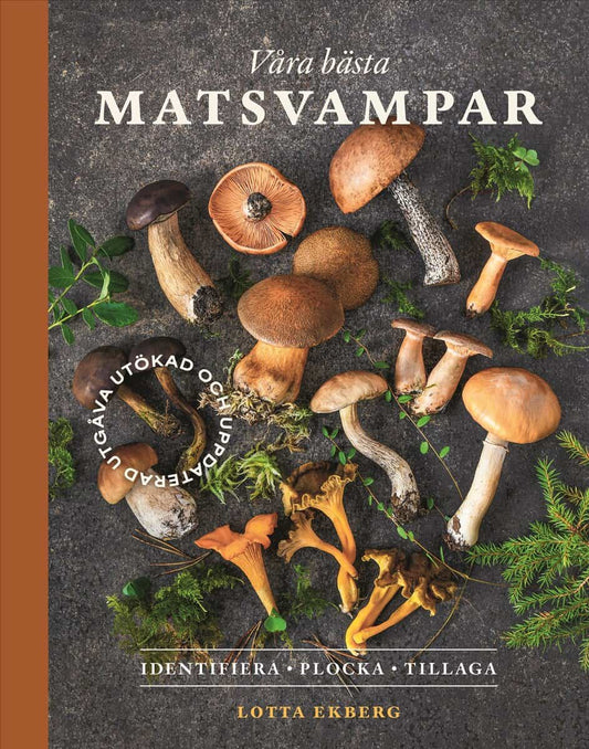 Ekberg, Lotta | Våra bästa matsvampar : Hitta, identifiera, plocka