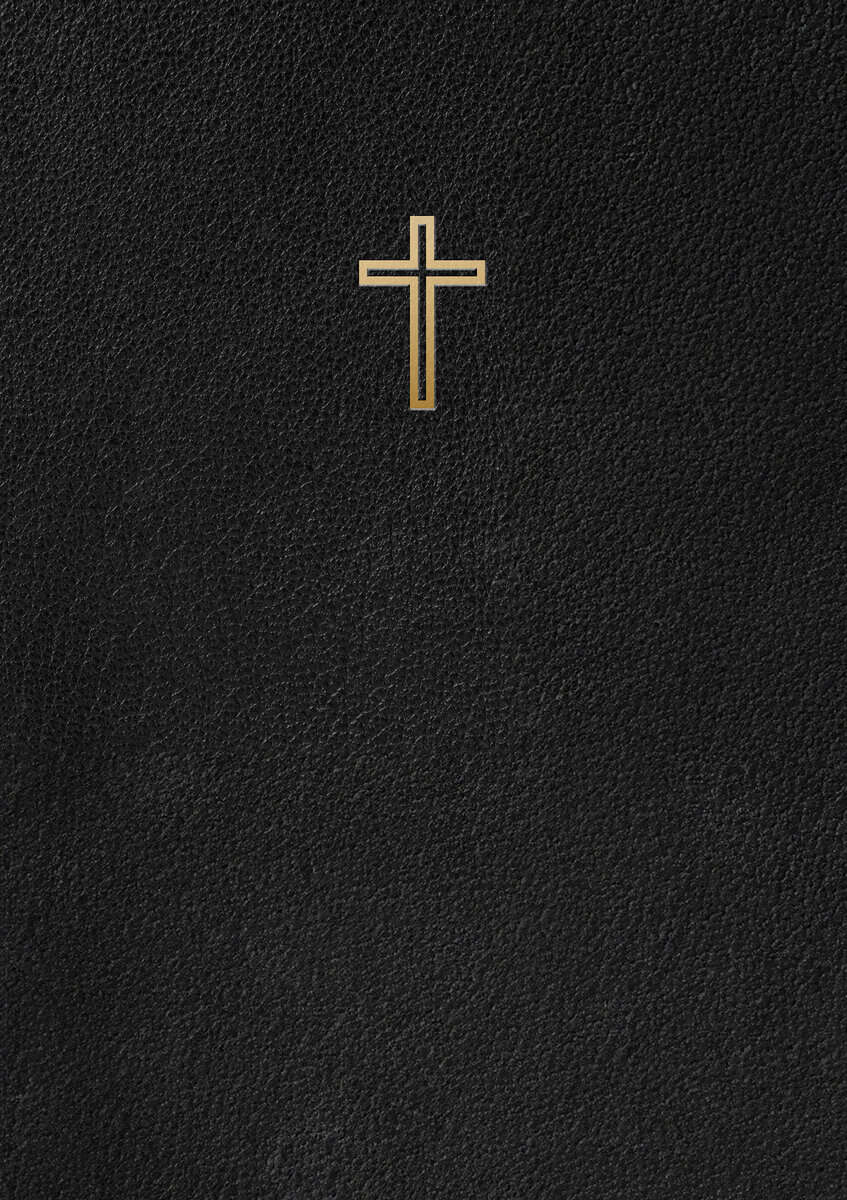 Svenska Folkbibeln 2015 : Slimline Svart Konstskinn