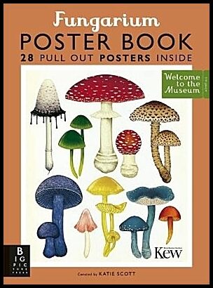 Gaya, Ester | Fungarium Poster Book