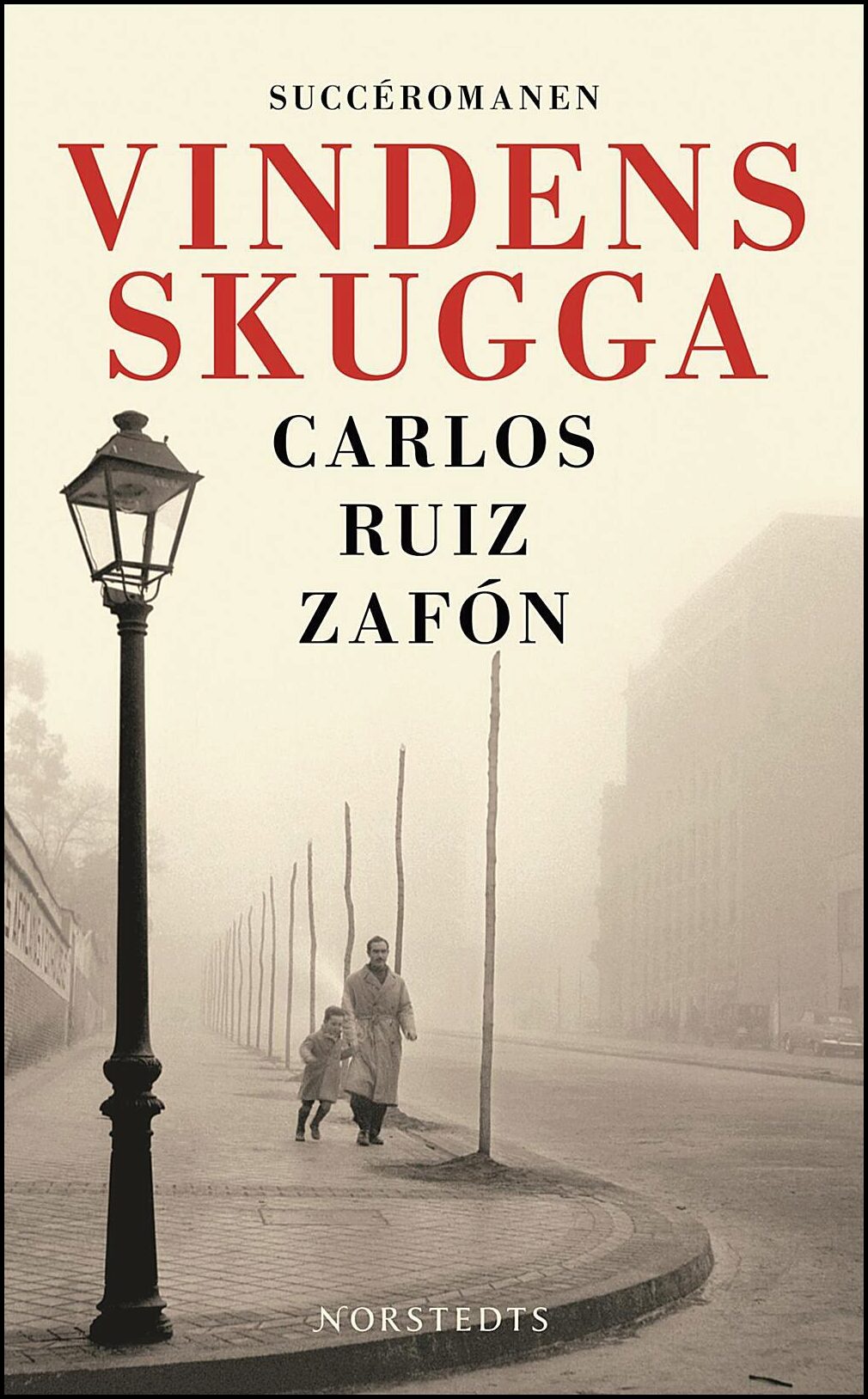 Ruiz Zafón, Carlos | Vindens skugga