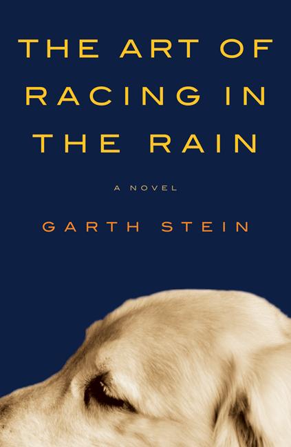 Stein, Garth | Art of Racing in the Rain Intl, The