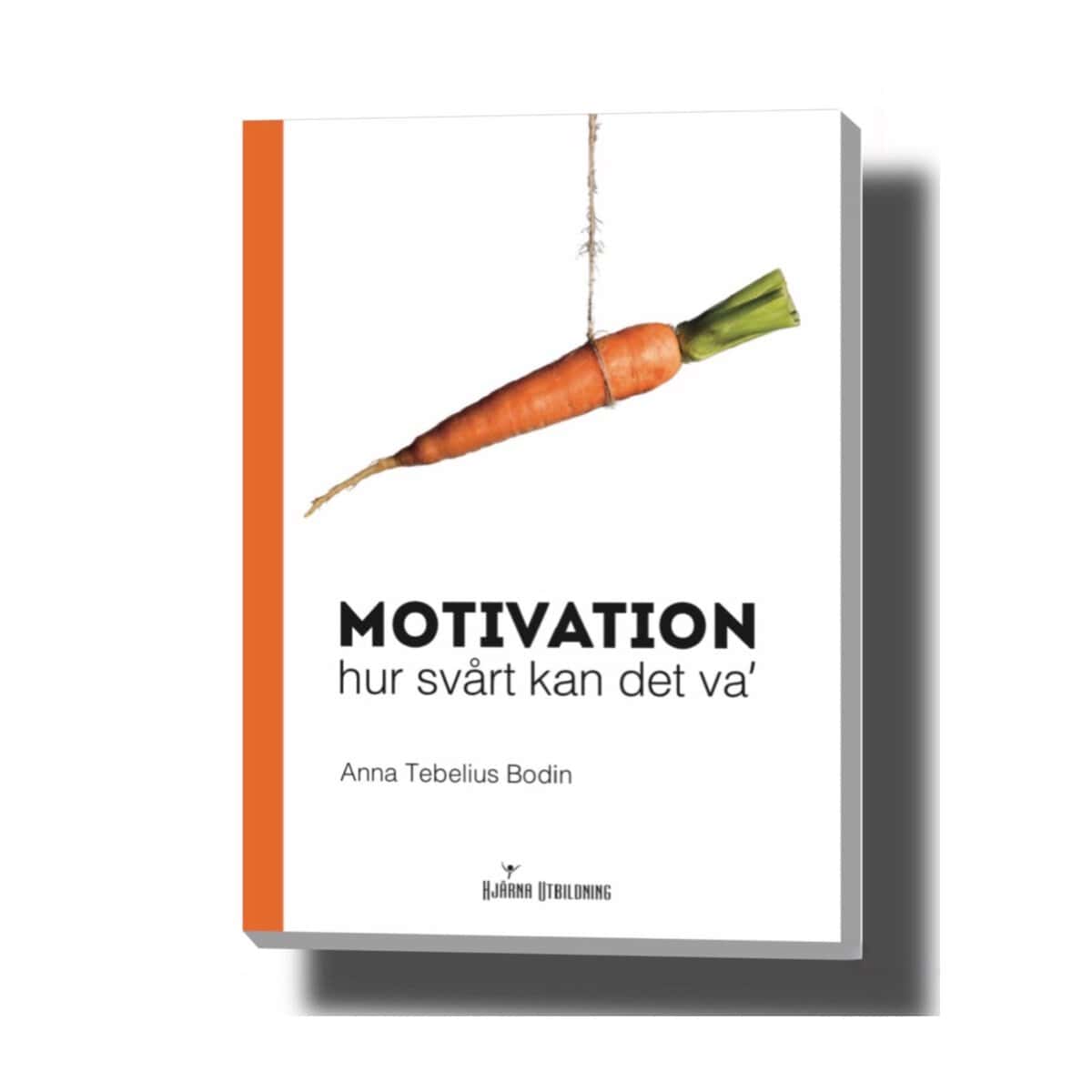 Tebelius Bodin, Anna | Motivation : Hur svårt kan det va'