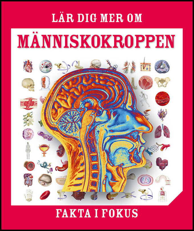 Lär dig mer om människokroppen