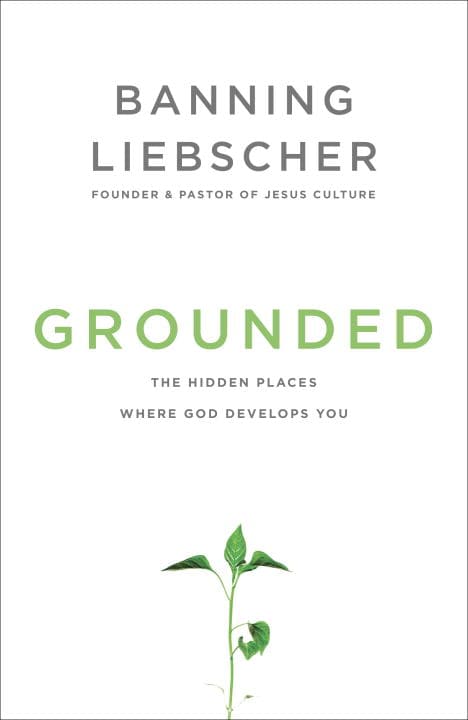 Liebscher, Banning | Grounded : The hidden places where god develops you