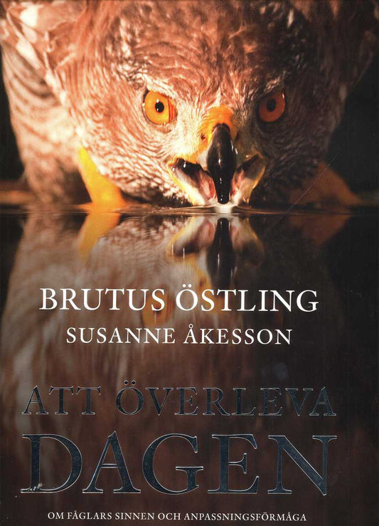 Östling, Brutus | Åkesson, Susanne | Att överleva dagen