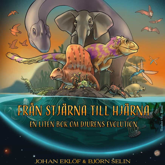 Eklöf, Johan | Från stjärna till hjärna : En liten bok om djurens evolution