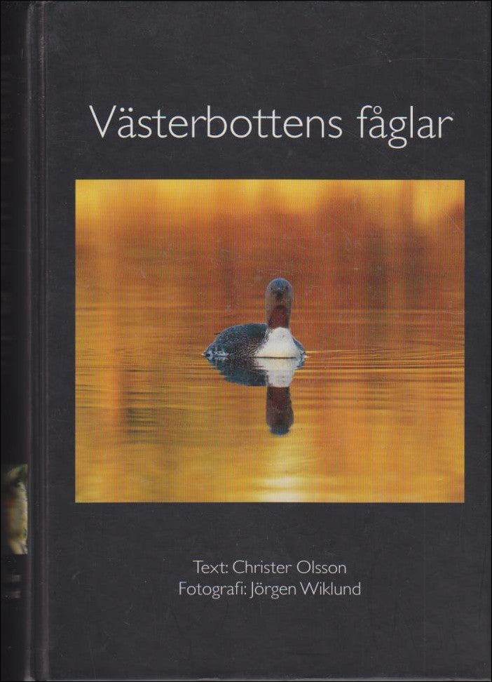 Olsson, Christer | Västerbottens fåglar