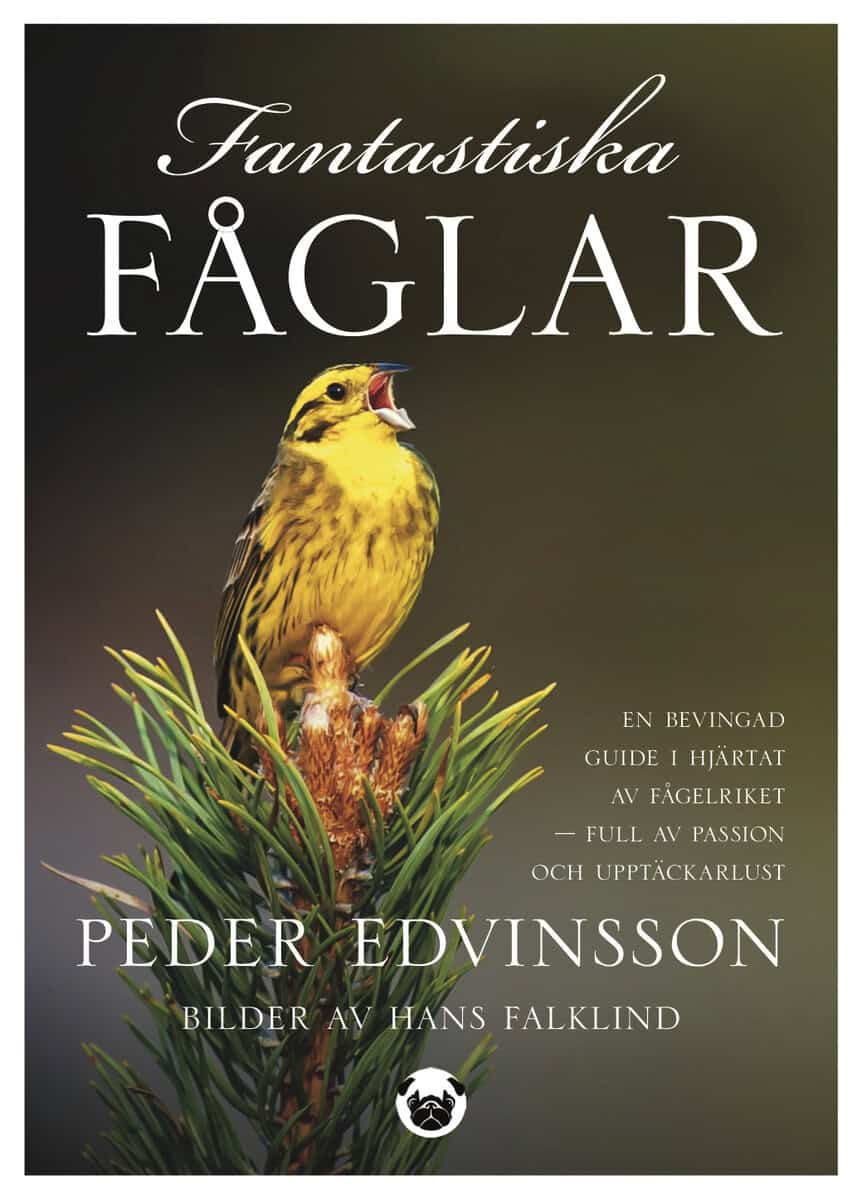 Edvinsson, Peder | Fantastiska fåglar : En bevingad guide i hjärtat av fågelriket - full av passion och upptäckarlust