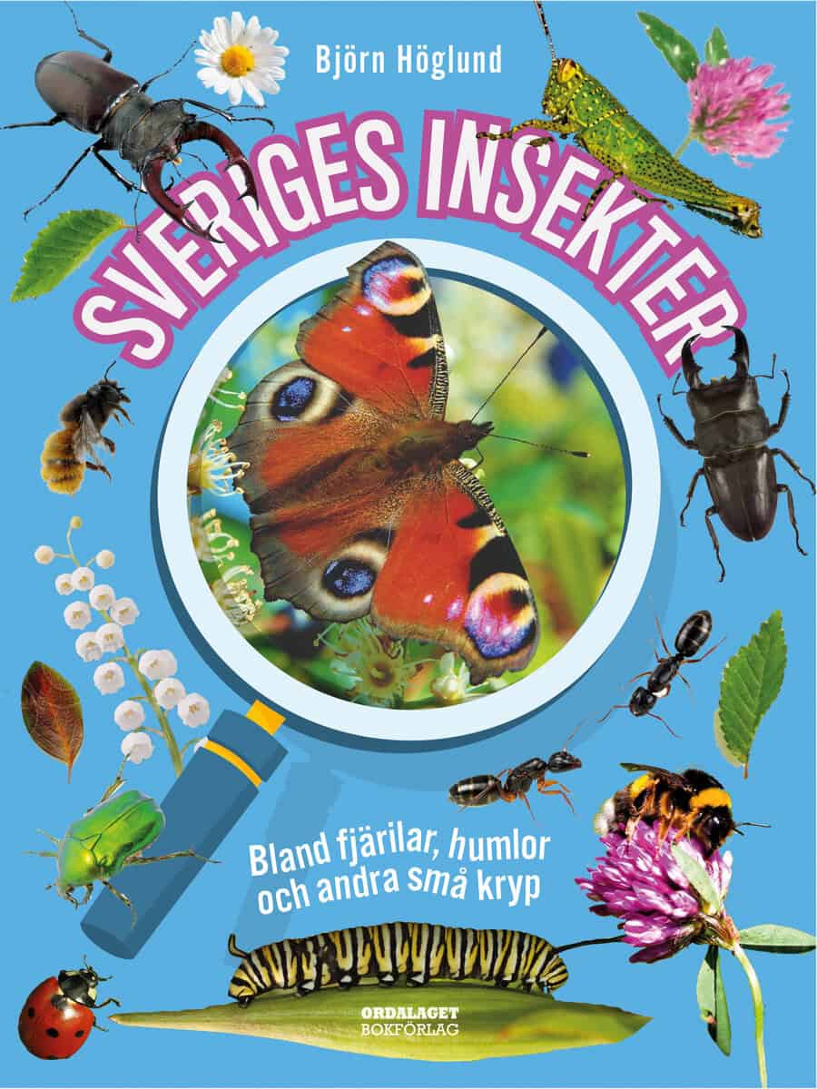 Höglund, Björn | Sveriges insekter : Bland fjärilar, humlor och andra små kryp