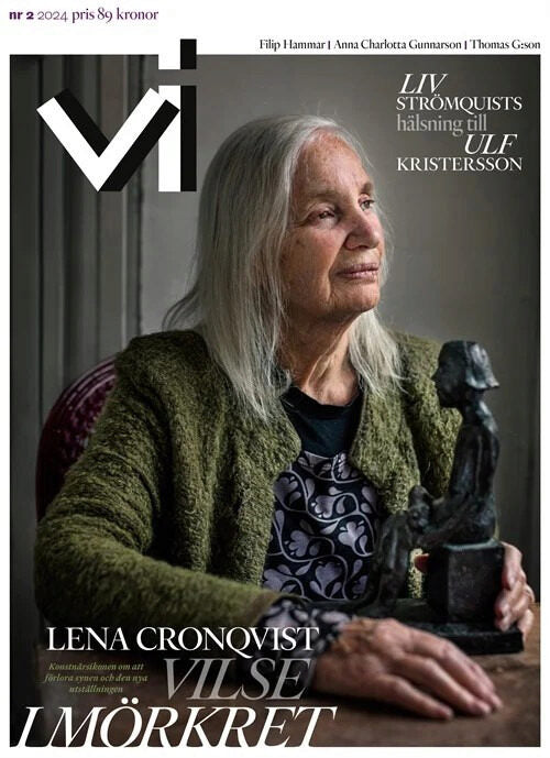 Vi | 2024 / 2 : Vilse i mörkret