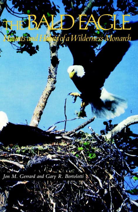Jon M Gerrard | Bald Eagle