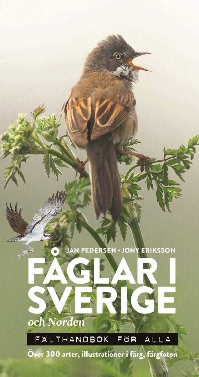 Pedersen, Jan | Eriksson, Jony | Fåglar i Sverige och Norden : Fälthandbok för alla