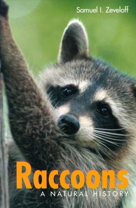 Samuel I Zeveloff | Raccoons