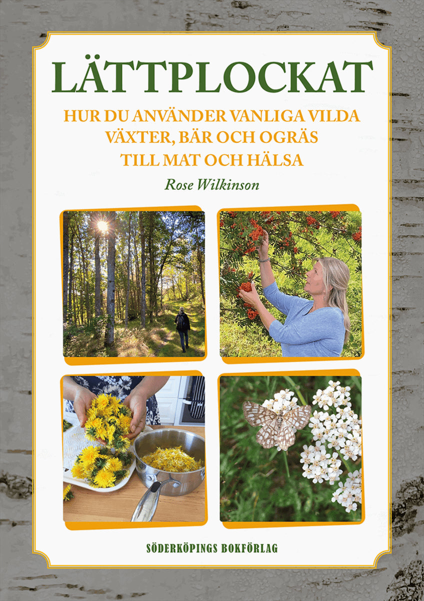 Wilkinson, Rose | Lättplockat : Hur du använder vanliga vilda växter, bär och ogräs till mat och hälsa