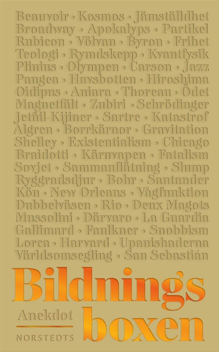 Azar, Michael | Björk, Ulrika | Enquist Källgren, Karolina | Isberg, Erik | Roberg, Sofia | Bildningsboxen 3