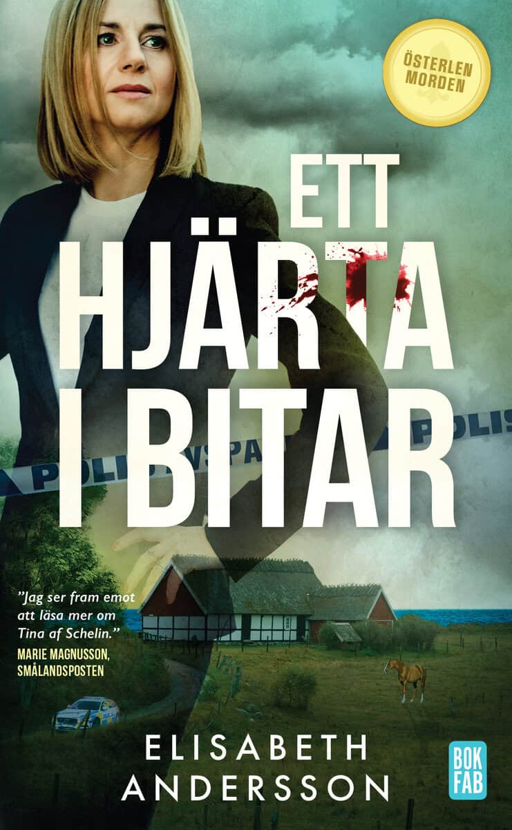 Andersson, Elisabeth | Ett hjärta i bitar