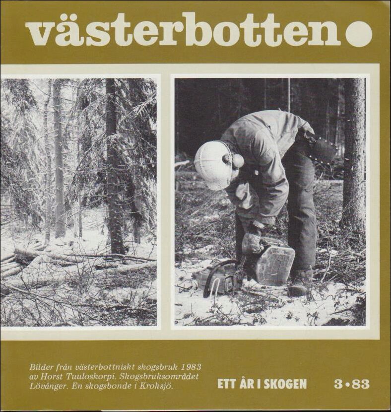 Västerbotten | 1983 / 3 : Ett år i skogen