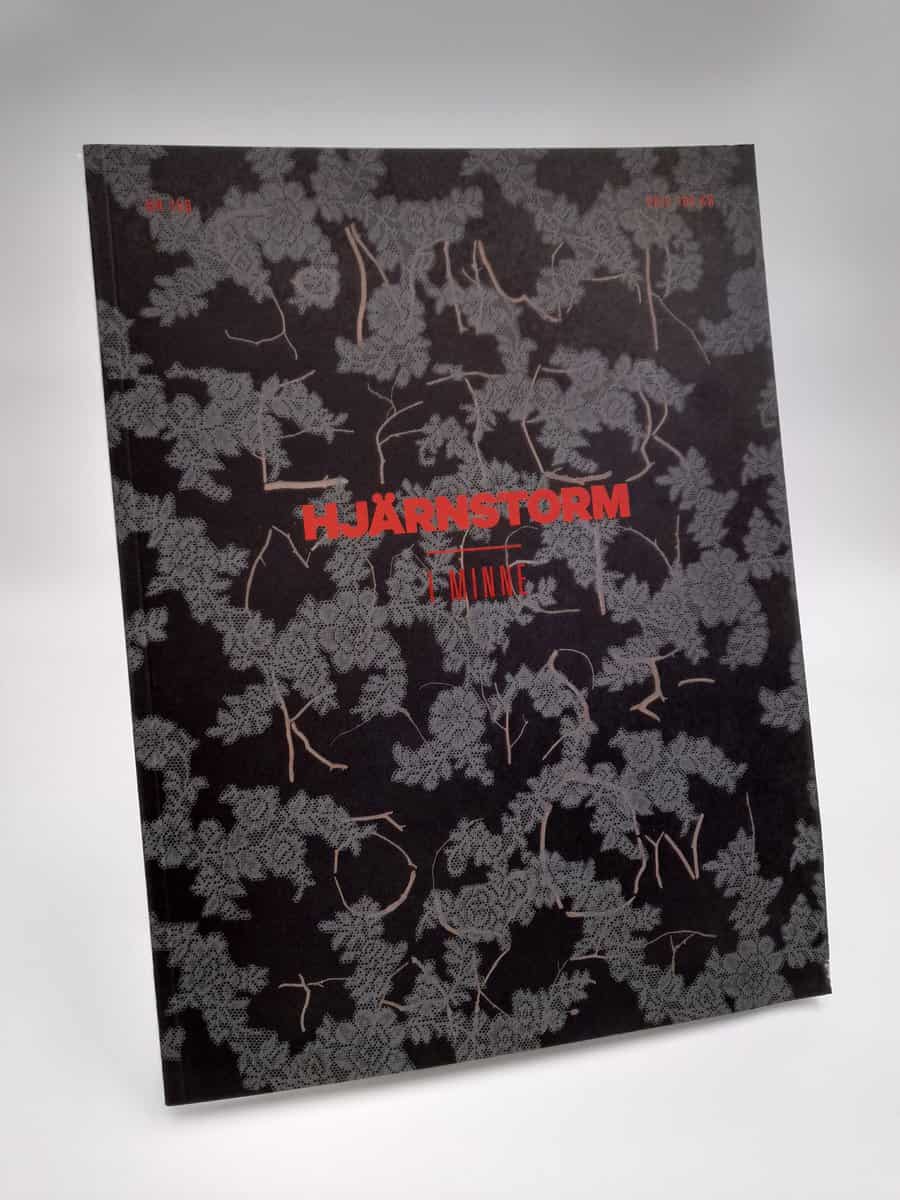 Hjärnstorm | 156 : I minne