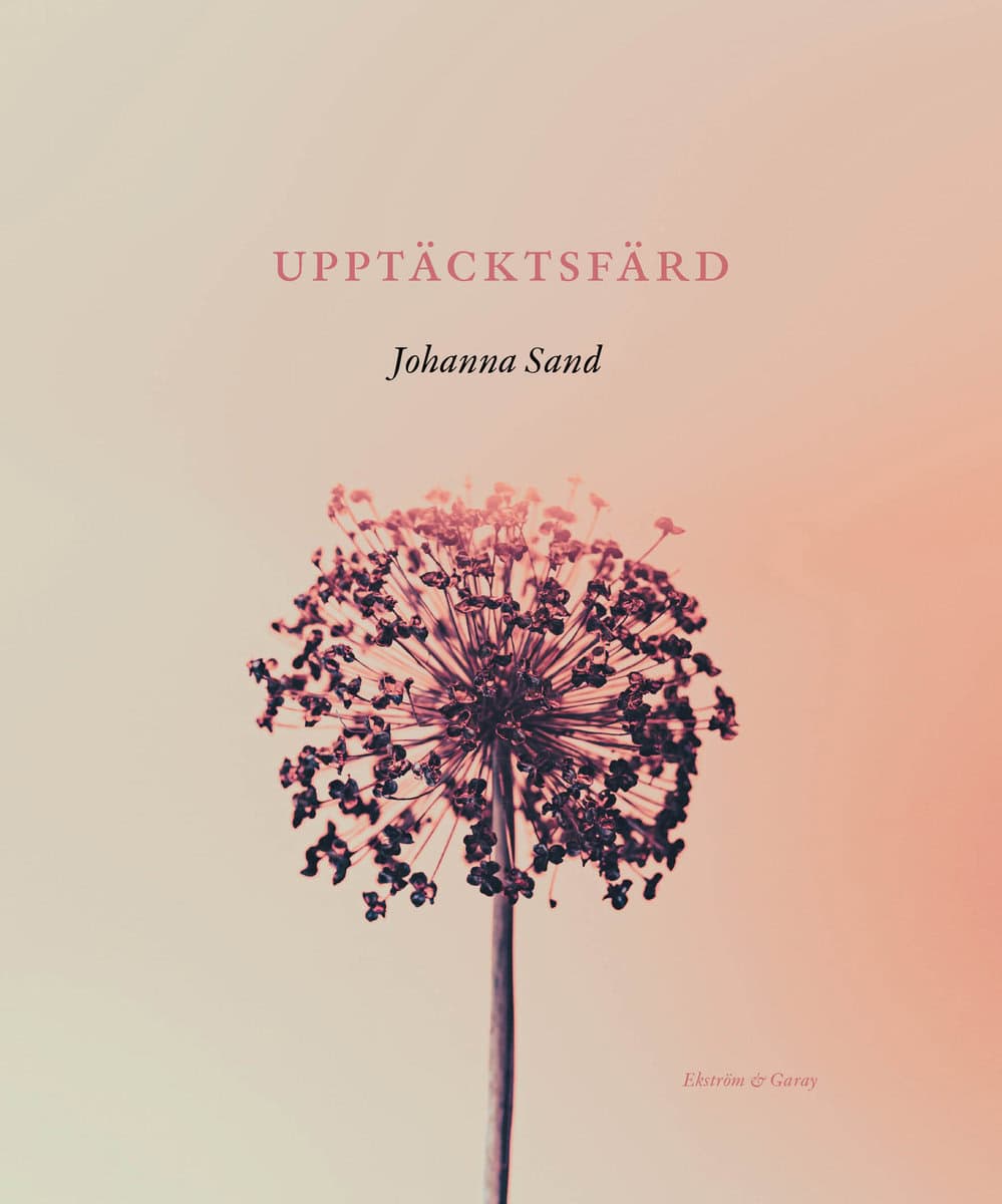 Sand, Johanna | Upptäcktsfärd