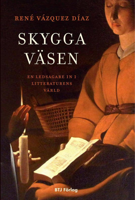 Vázquez Díaz, René | Skygga väsen : En ledsagare in i litteraturens värld