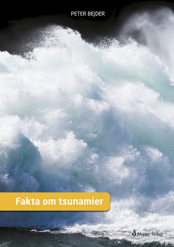 Bejder, Peter | Fakta om tsunamier