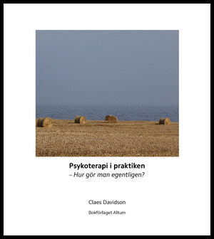 Davidson, Claes | Psykoterapi i praktiken : Hur gör man egentligen?