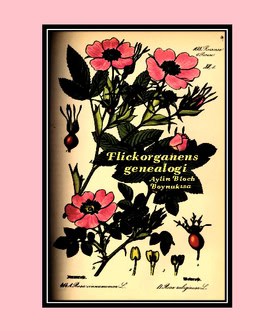 Bloch Boynukisa, Aylin | Flickorganens genealogi