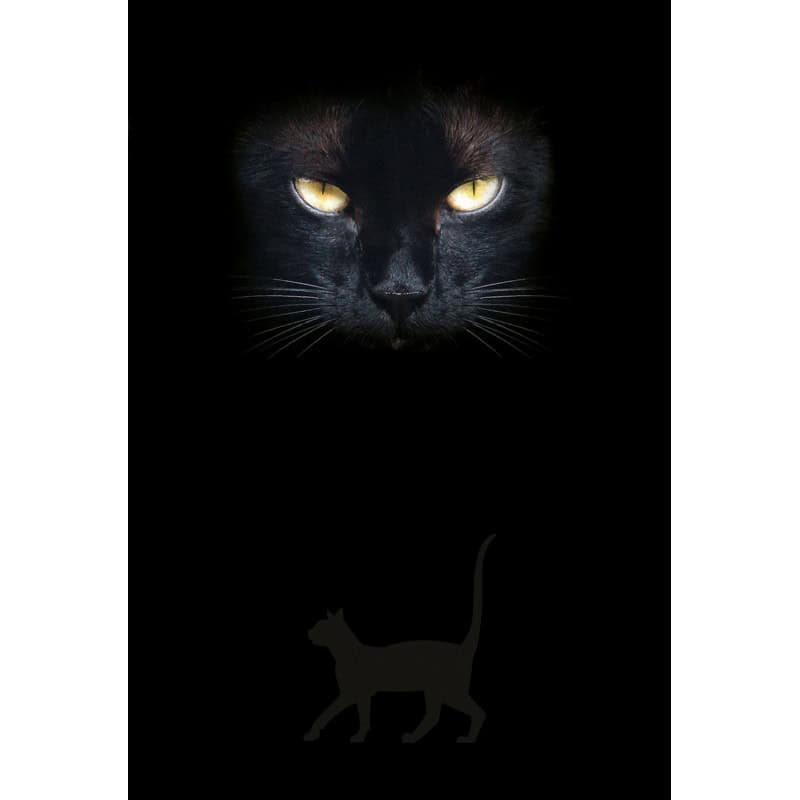 Scarabeo, Lo | Cat's Eyes