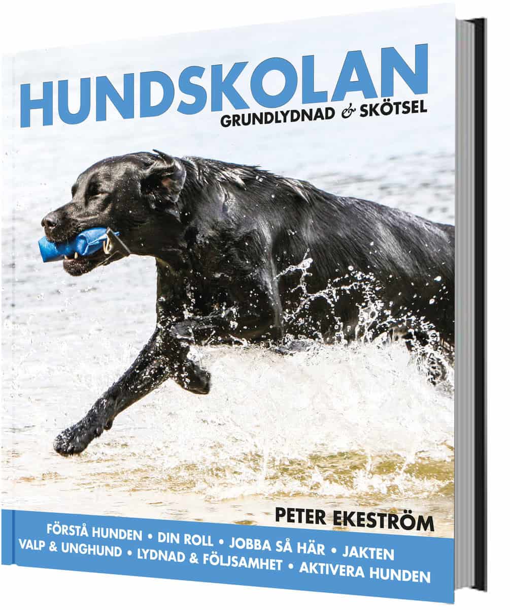 Ekeström, Peter | Hundskolan : Grundlydnad & skötsel