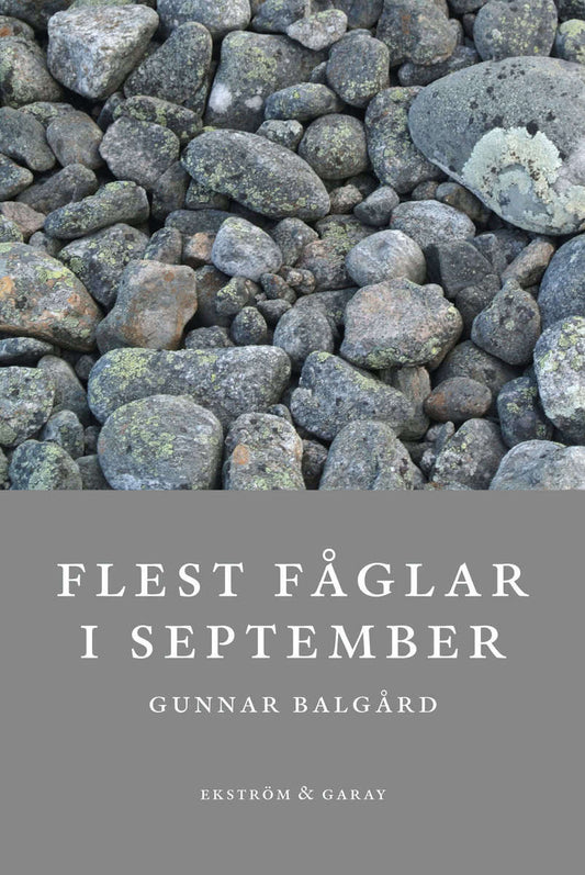 Balgård, Gunnar | Flest fåglar i september