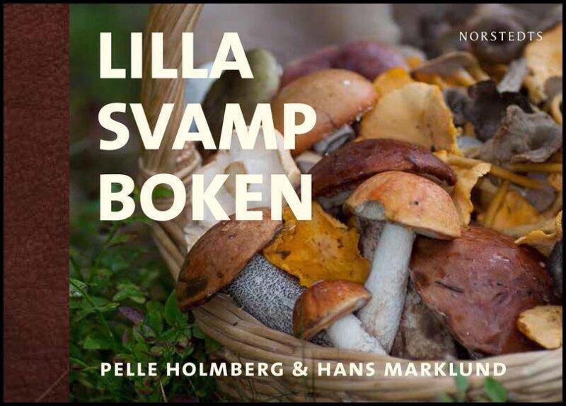 Holmberg, Pelle| Marklund, Hans | Lilla svampboken