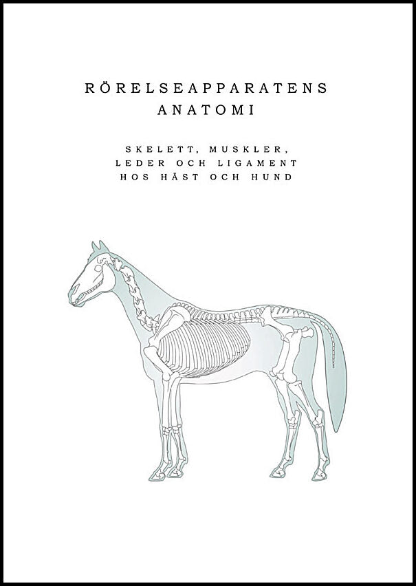 Launila, Anja | Rörelseapparatens anatomi : Skelett, muskler, leder och ligament hos häst och hund