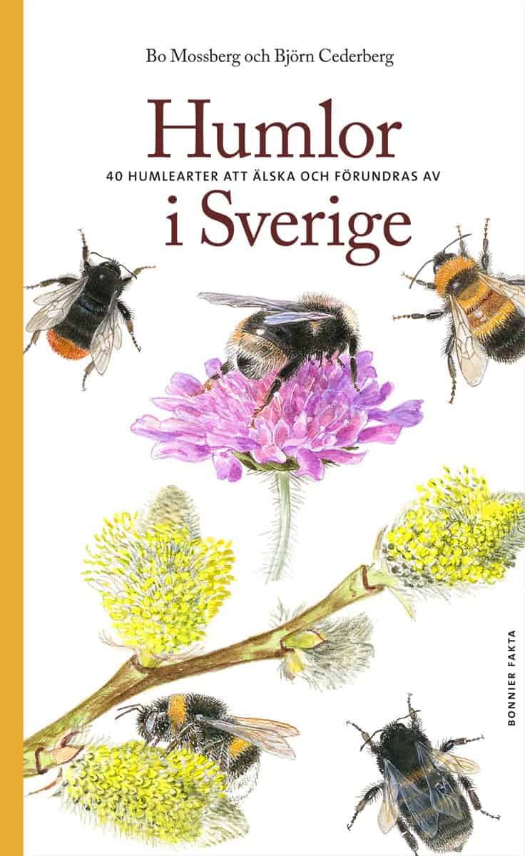 Mossberg, Bo | Cederberg, Björn | Humlor i Sverige : 40 arter att älska och förundras över