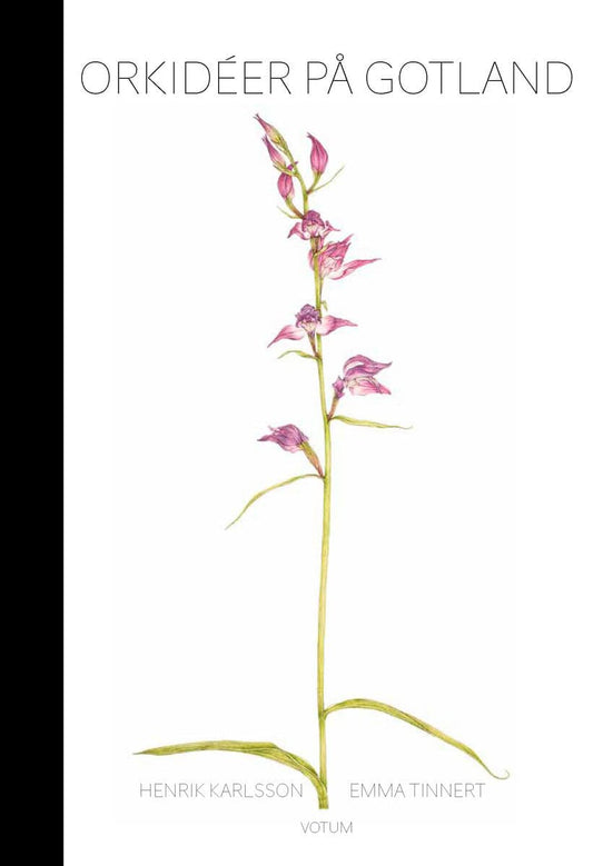 Karlsson, Henrik | Tinnert, Emma | Orkidéer på Gotland