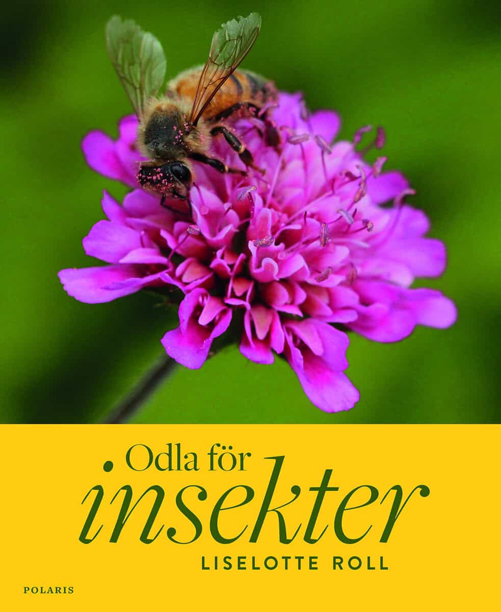 Roll, Liselotte | Odla för insekter