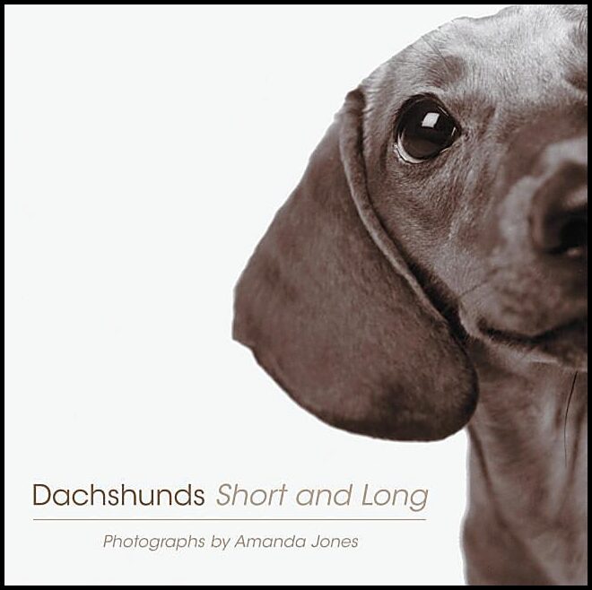 Dachshunds