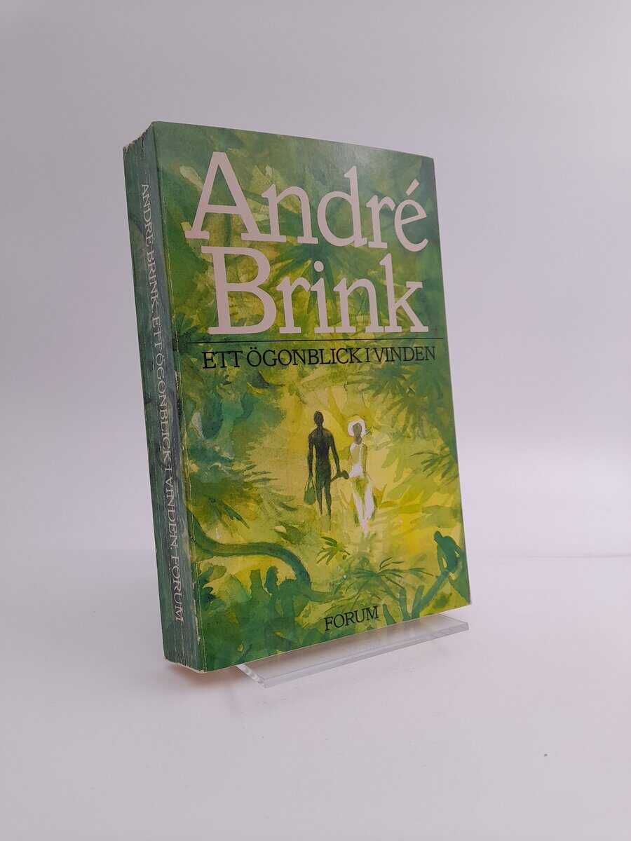Brink, André | Ett ögonblick i vinden
